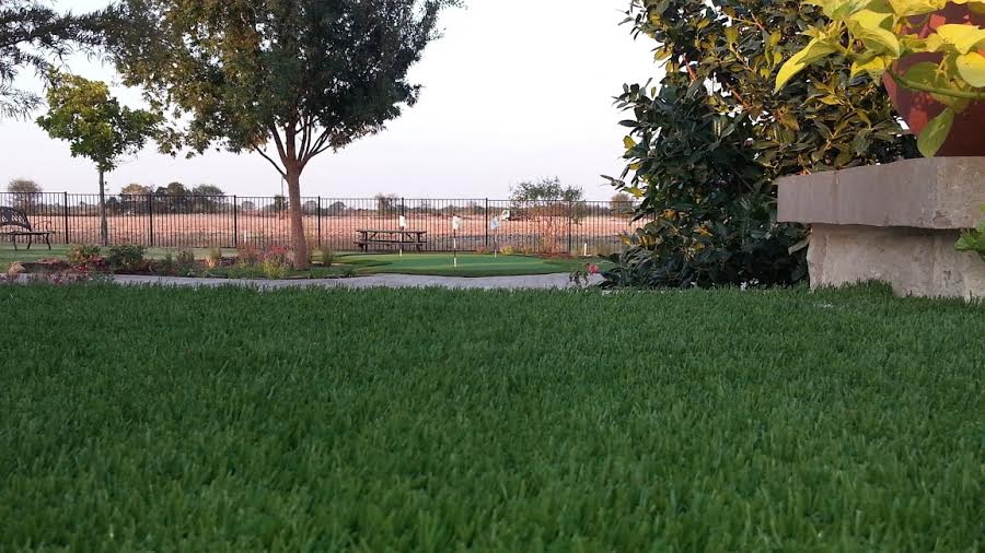 London Lawns team at work